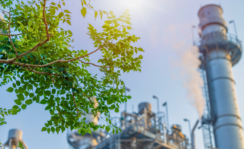 Navigating Environmental Considerations in Industrial Plants